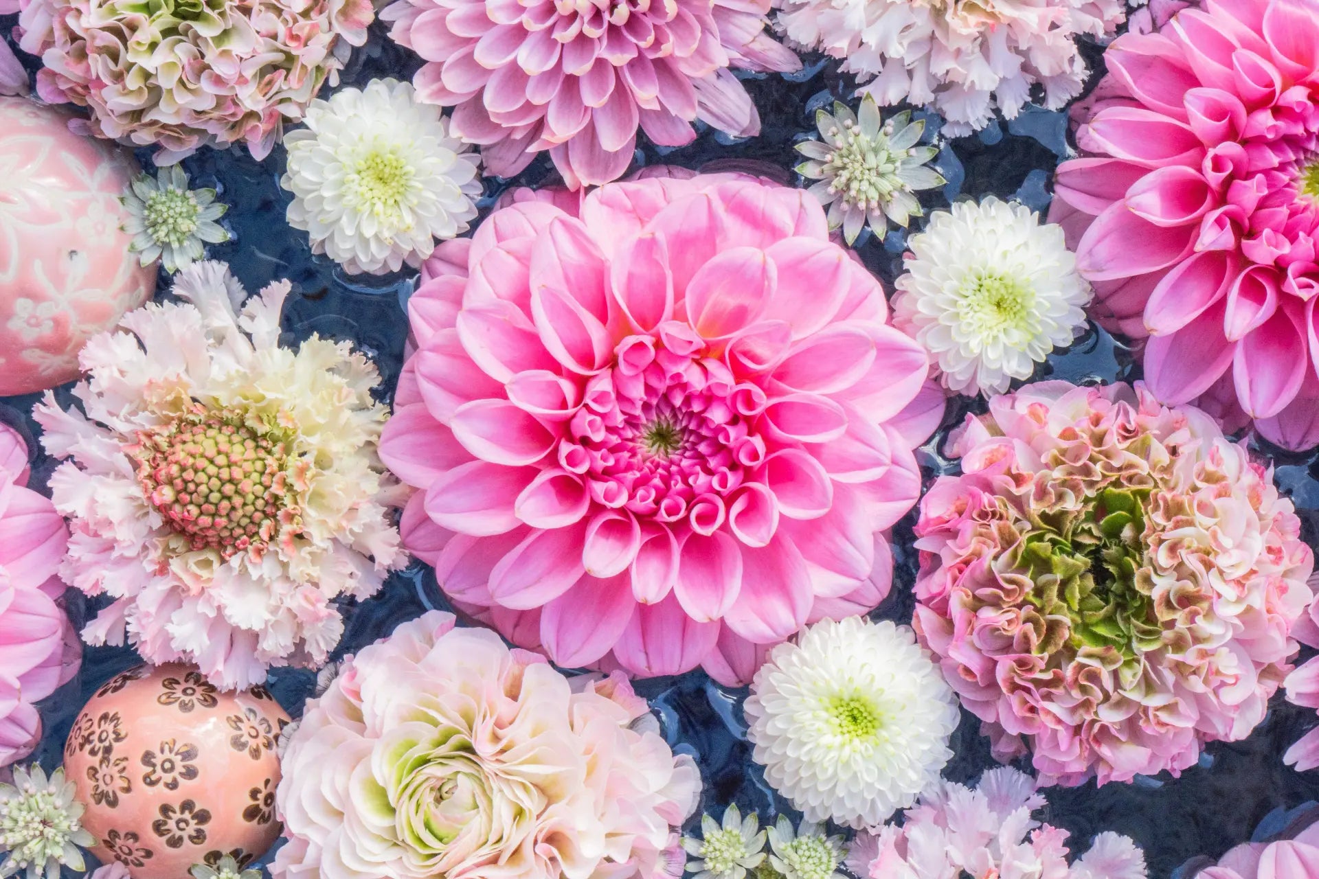 Japanese Flower Language (Hanakotoba) Link in Japan