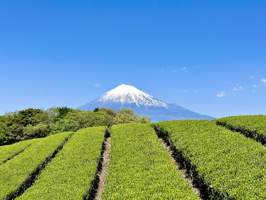 Japanese Tea and Teaware