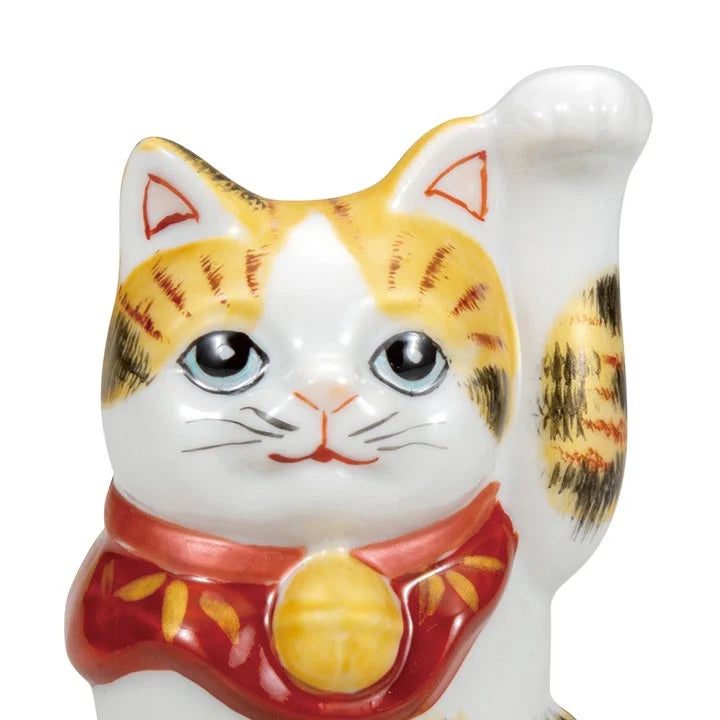 Kutani golden colored trichome Lucky Cat