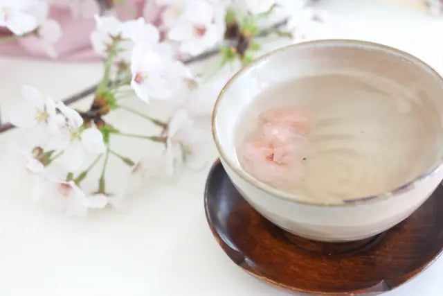 Tea with floating cherry blossoms