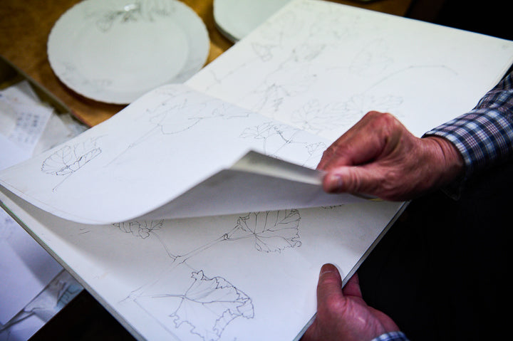 Plants and trees sketched by Yoshiaki Yamada