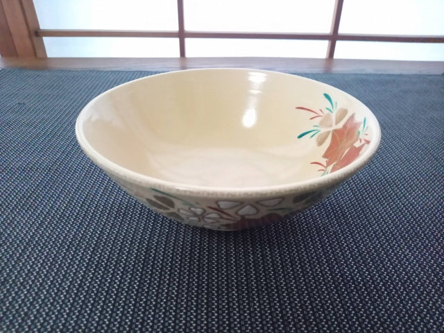 Japanese rice bowls